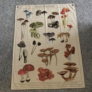 Urban Outfitters Mushroom Tapestry